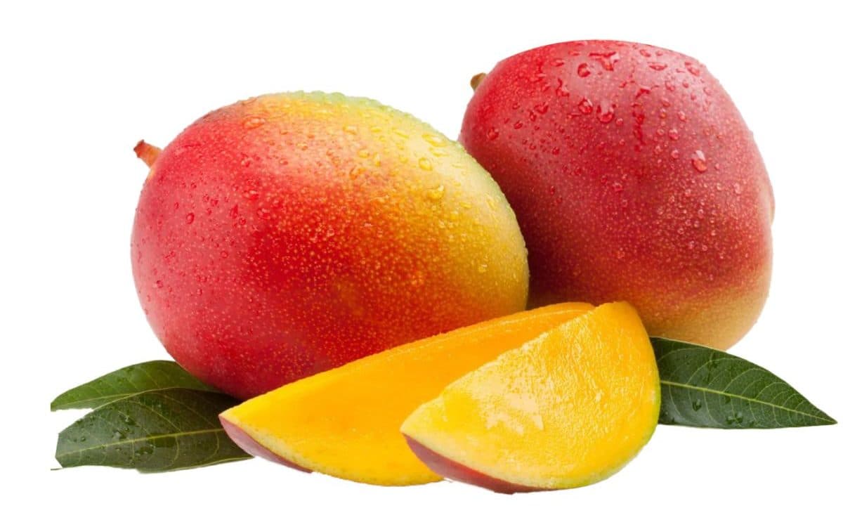 7 Variedades de mango de Costa Rica