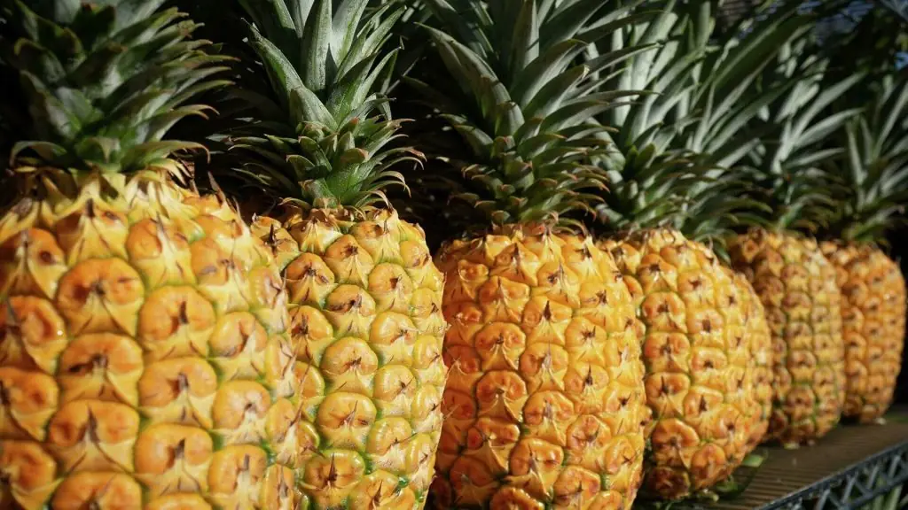 Piña Orgánica Congelada en Costa Rica razones para comer piña