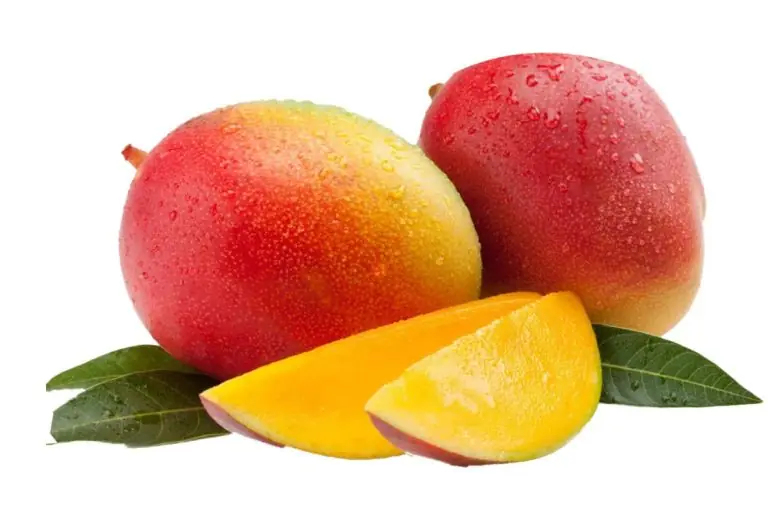 mango haden costa rica FroCoRi iqf